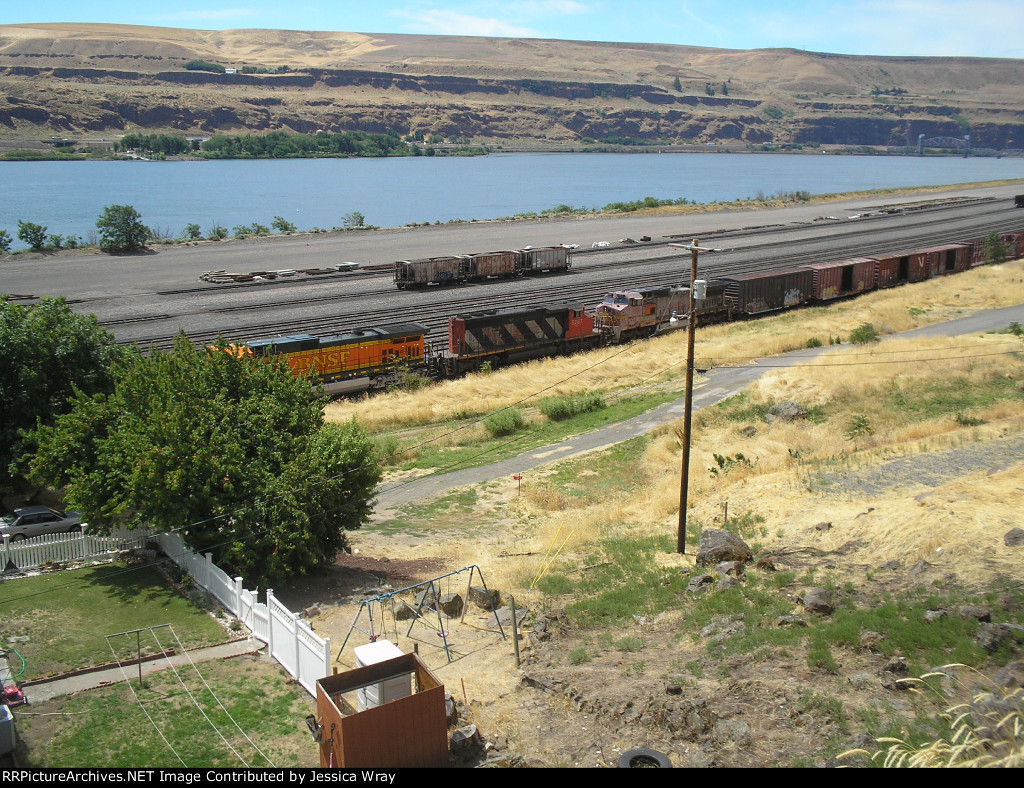 CN 5287